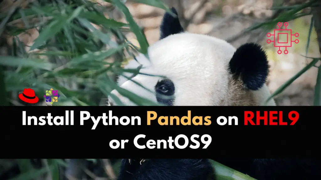Install Python Pandas on CentOS9