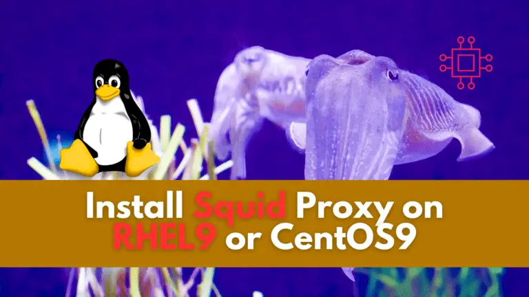Squid Proxy on Rhel9