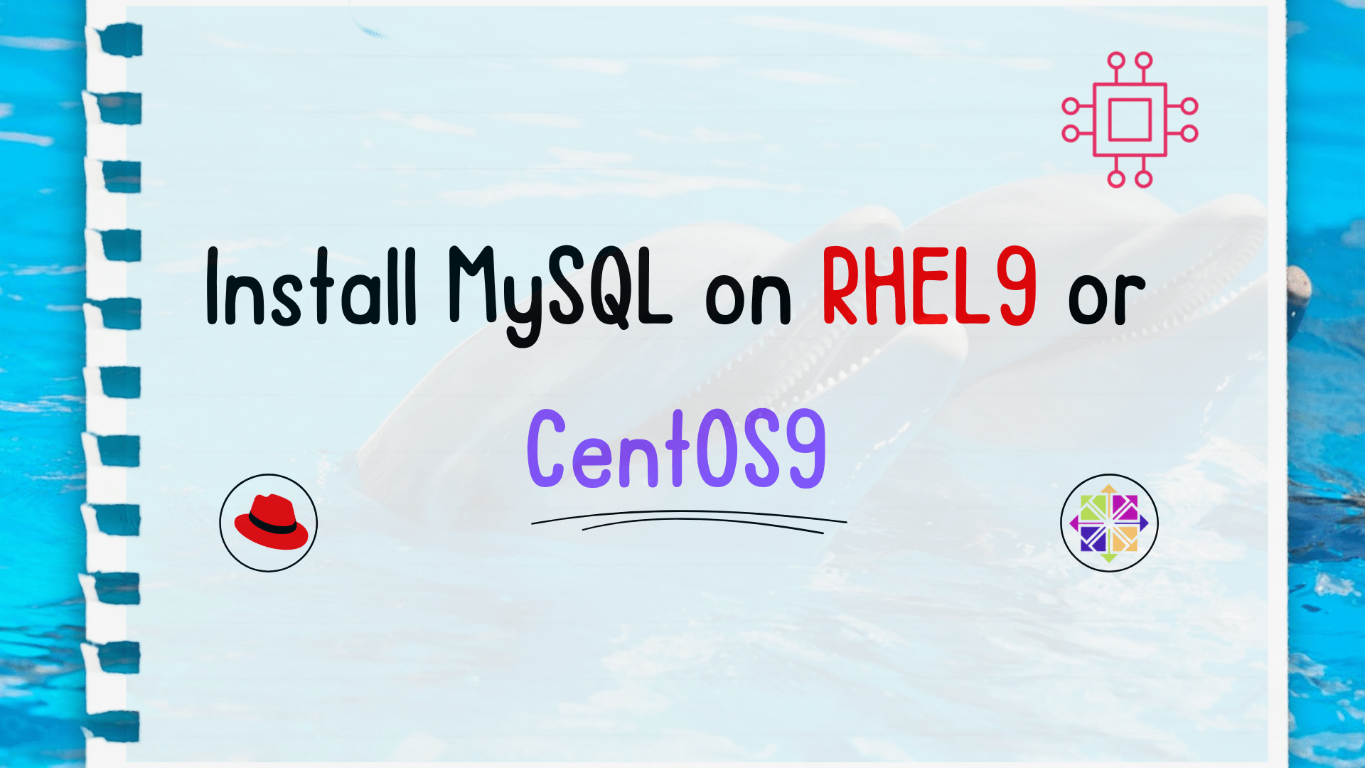 Install MySQL on RHEL9