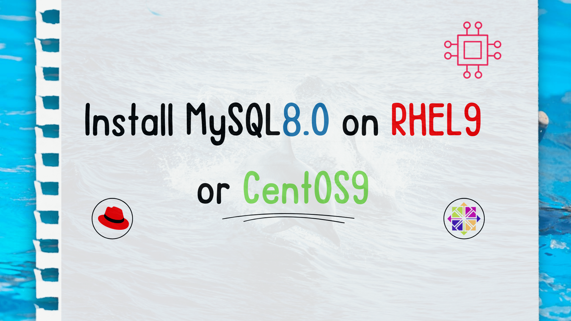 Install MySQL on RHEL9