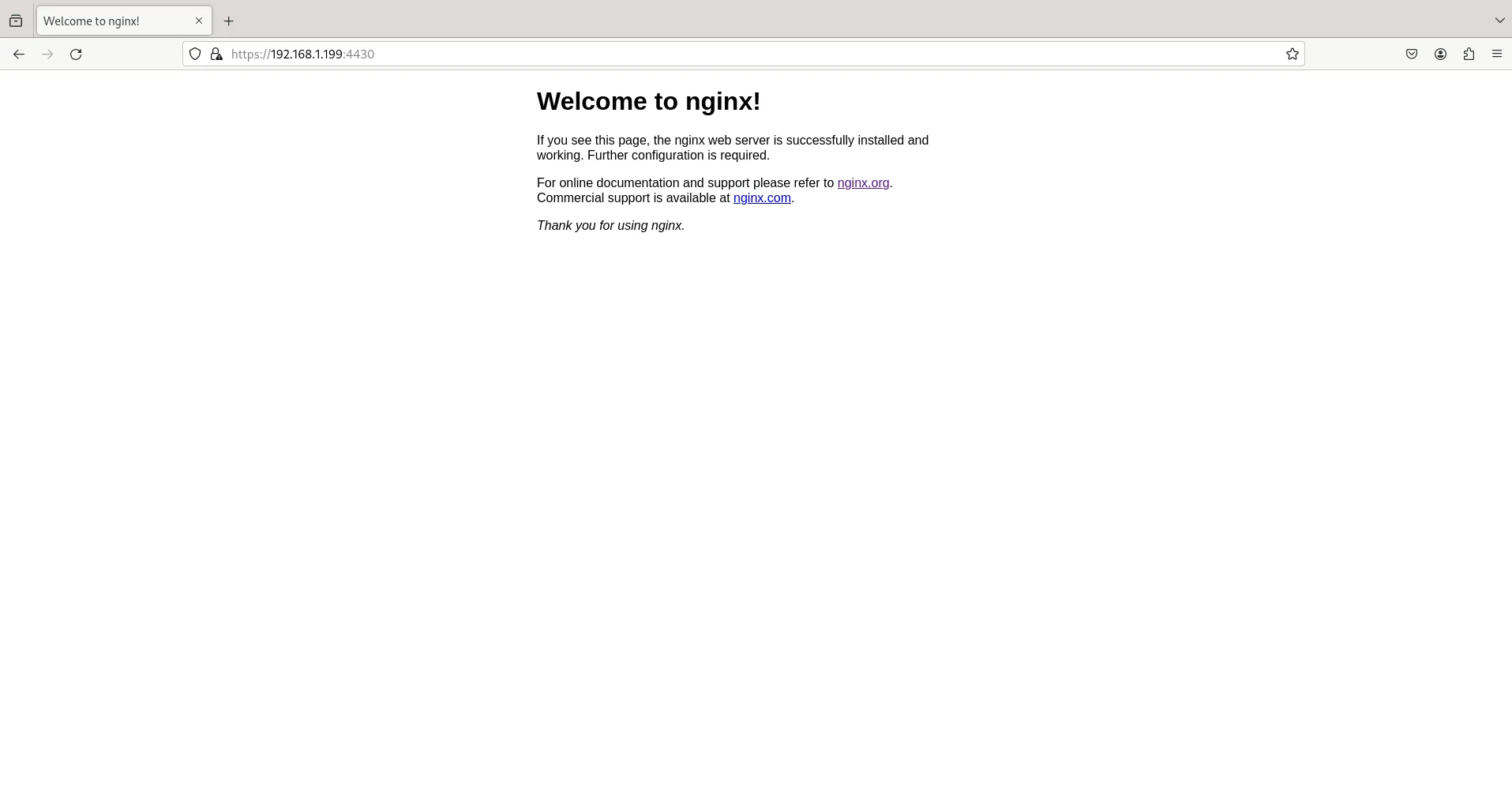 NGINX Login: Default Welcome Page