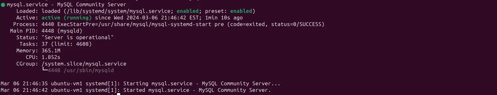 MySQL service status