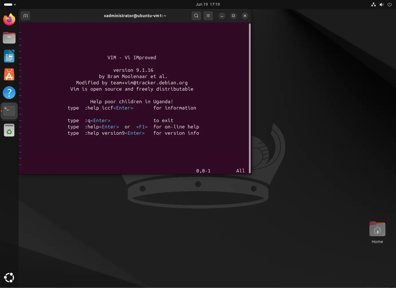 Install Vim on Ubuntu 24.04