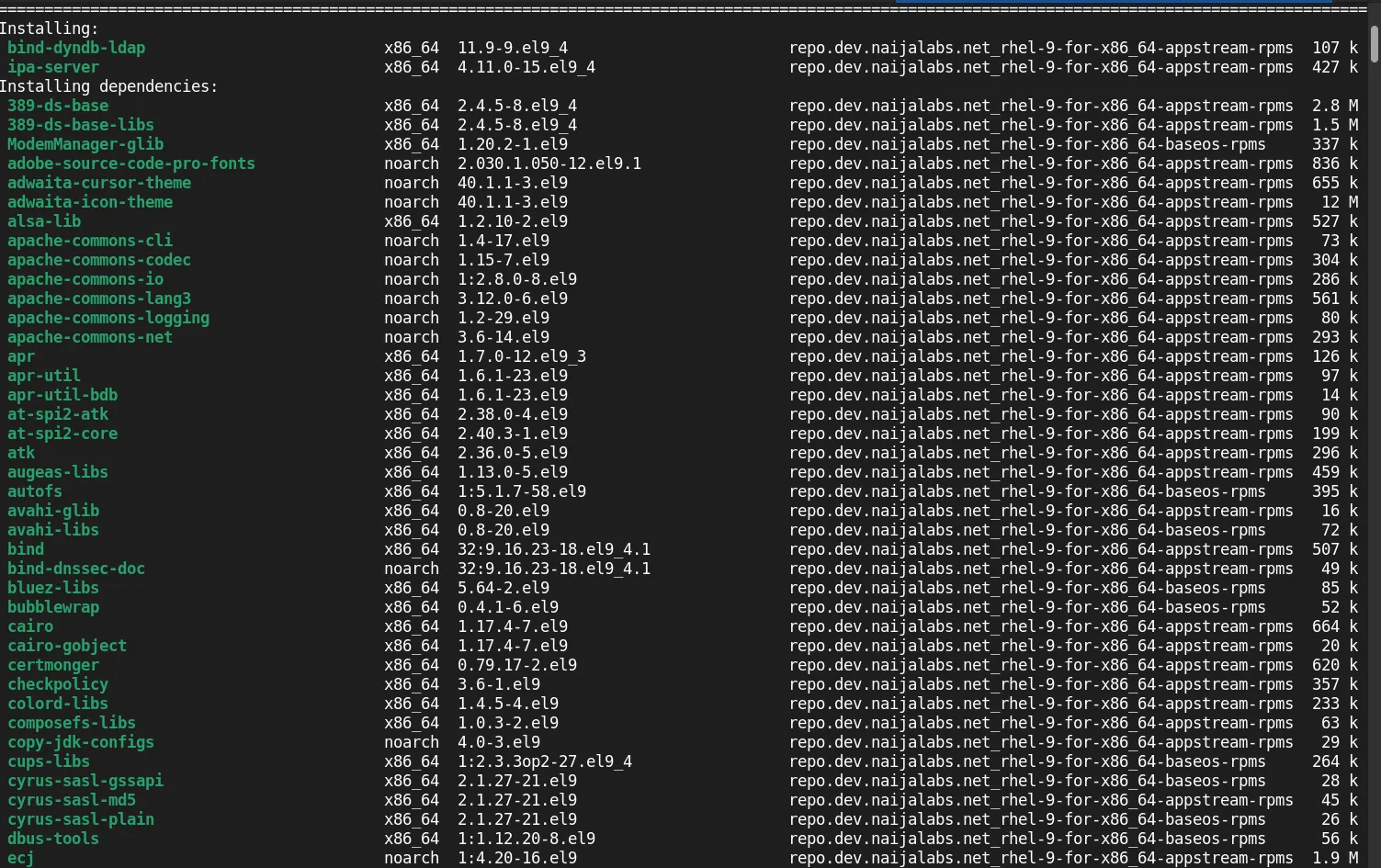 Install and Configure IPA/idM on RHEL 9