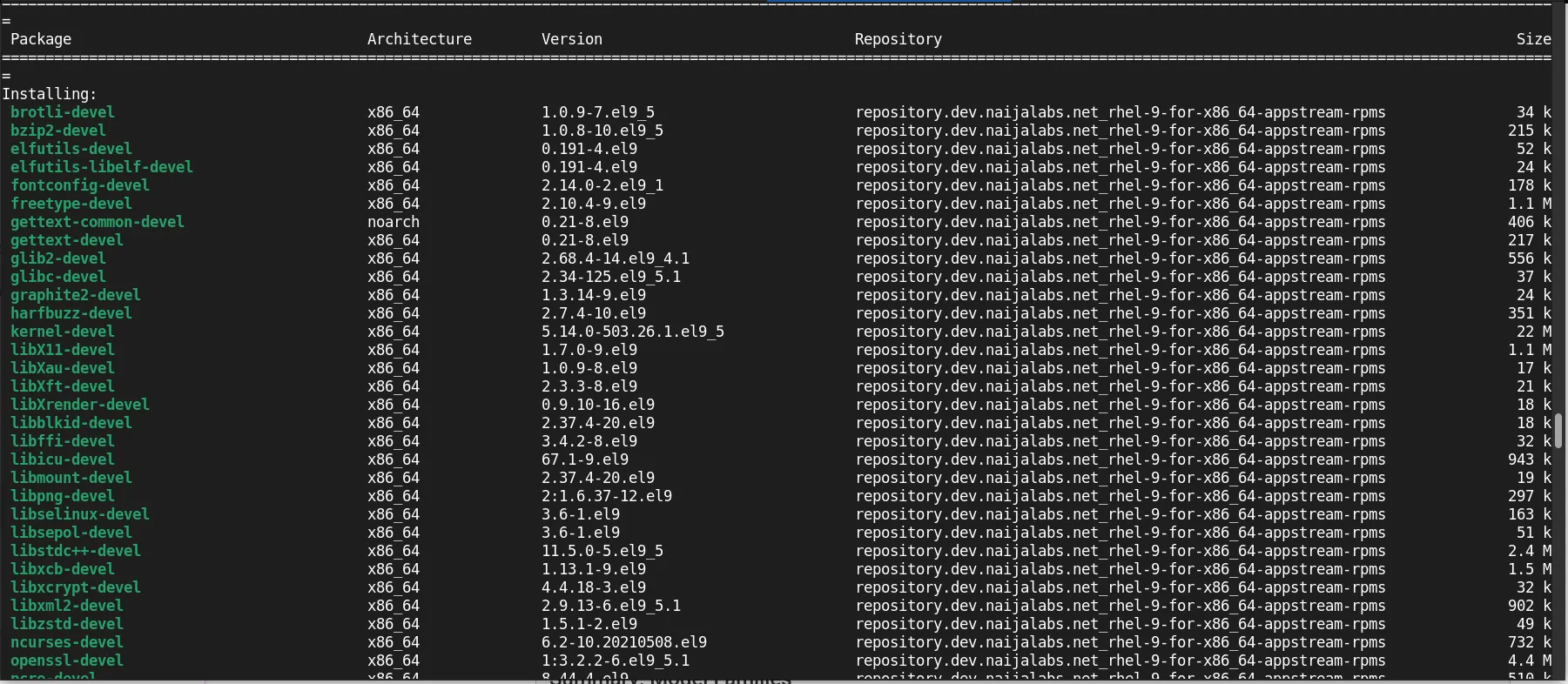 Install and configure DeepSeek on RHEL 9 | CentOS 9: Development Packages Install